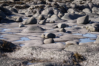 Textured gray rocks and tide pools on a rocky beach