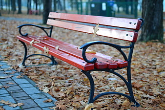 Red Park Bench Surrounded by Autumn Leaves