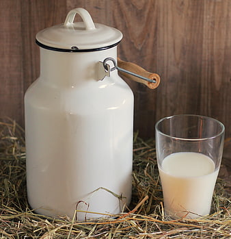 Vintage white milk can and glass of fresh milk on hay