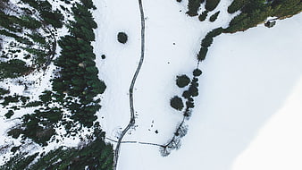 Aerial view of snowy forest with winding path and pine trees