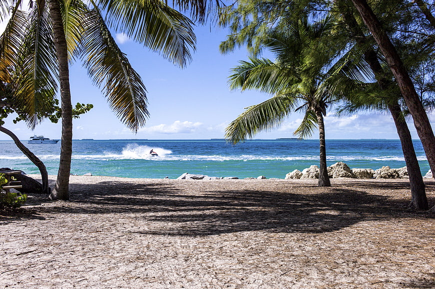 Tropical Beach View Through Palm Trees with Jet Ski