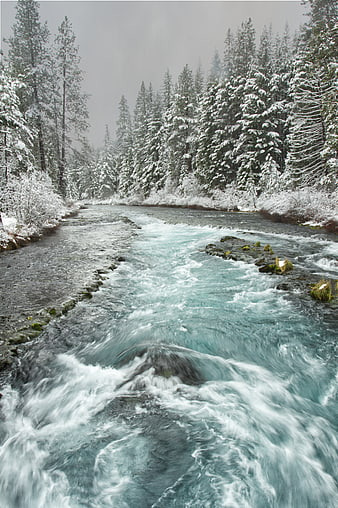 Flowing River Through Snowy Winter Forest Landscape