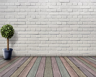 Minimalist Interior with White Brick Wall and Potted Plant