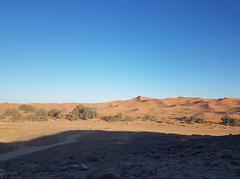 Desert landscape with sand dunes and sparse vegetation under blue sky
