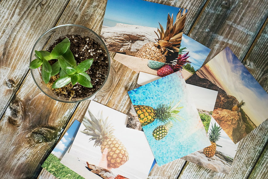 Pineapple Travel Photos and Succulent on Wooden Table
