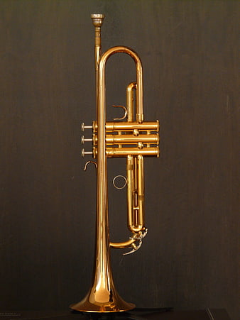 Gold Brass Trumpet With Pump Valves On Dark Background