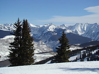 Snowy mountain landscape with pine trees and ski slopes