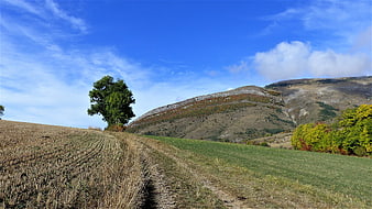Autumn Landscape with Harvested Field and Mountain View