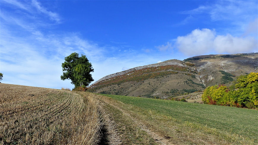 Autumn Landscape with Harvested Field and Mountain View