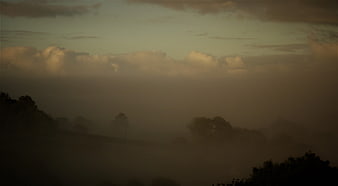 Misty landscape with trees silhouetted against a cloudy sky
