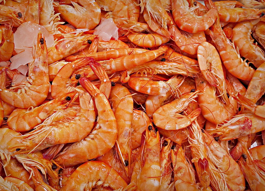 Close-up of cooked orange shrimp and prawns on ice at a market