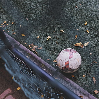 Worn soccer ball on artificial turf with autumn leaves