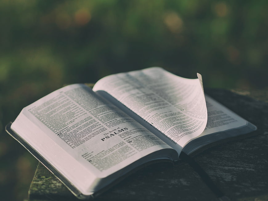 Open Bible Showing Psalms Chapter 42 Resting on Mossy Rock Outdoors