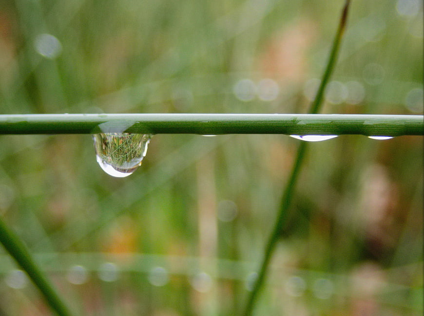 Macro shot of water droplets on a green blade of grass