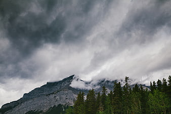 Dramatic Stormy Mountain Landscape with Pine Forest