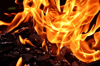 Close-up of vibrant orange flames burning charcoal embers