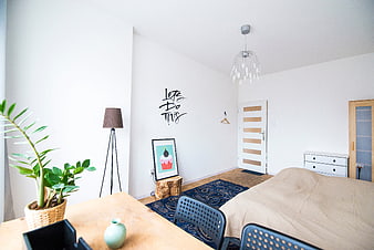Modern Minimalist Bedroom Interior with Wooden Furniture and Plant
