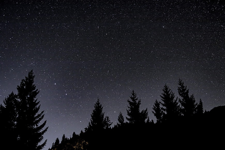Starry Night Sky Over Silhouetted Pine Forest