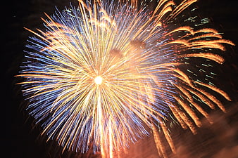 Vibrant Gold and Blue Fireworks Exploding in Night Sky
