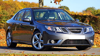 Gray Sedan Car Parked in Autumn Park