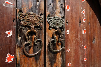Antique Bronze Lion Door Knocker on Weathered Wooden Gate