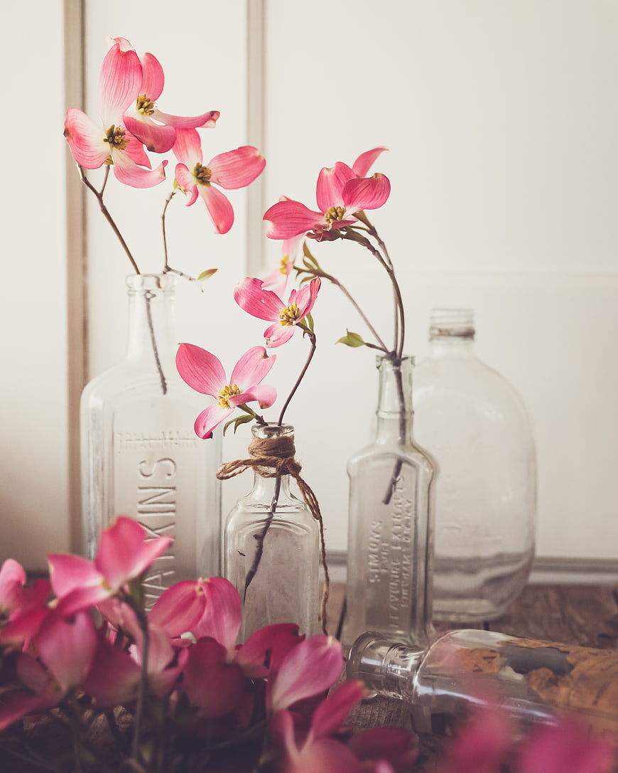Pink Dogwood Flowers in Vintage Glass Bottles