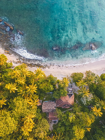 Aerial View of Tropical Beach House with Palm Trees and Turquoise Ocean