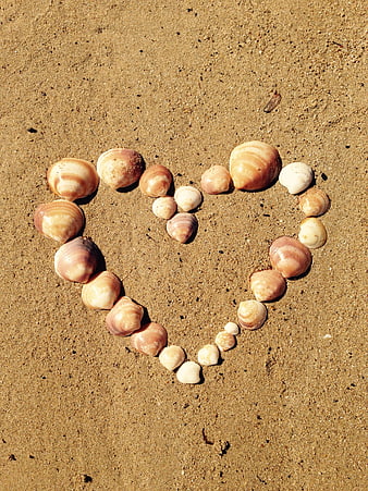 Heart Shape Made of Seashells on Sandy Beach