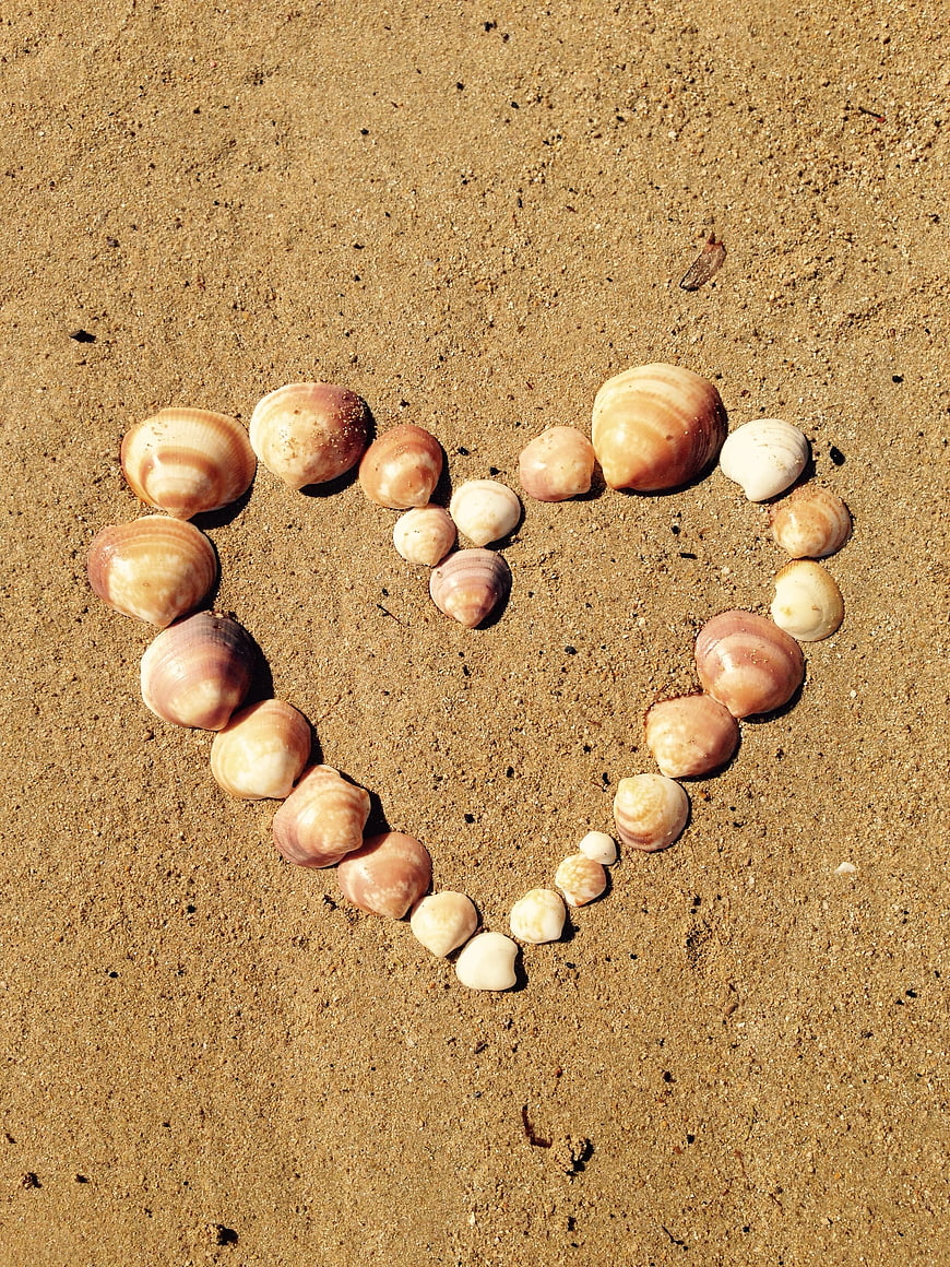 Heart Shape Made of Seashells on Sandy Beach