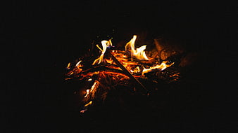 Campfire Burning at Night with Sparks and Embers