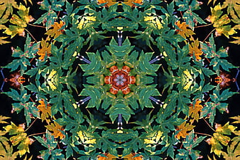 Kaleidoscope pattern of green and yellow autumn leaves