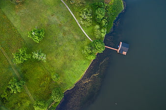 Aerial view of green park with pier and lake