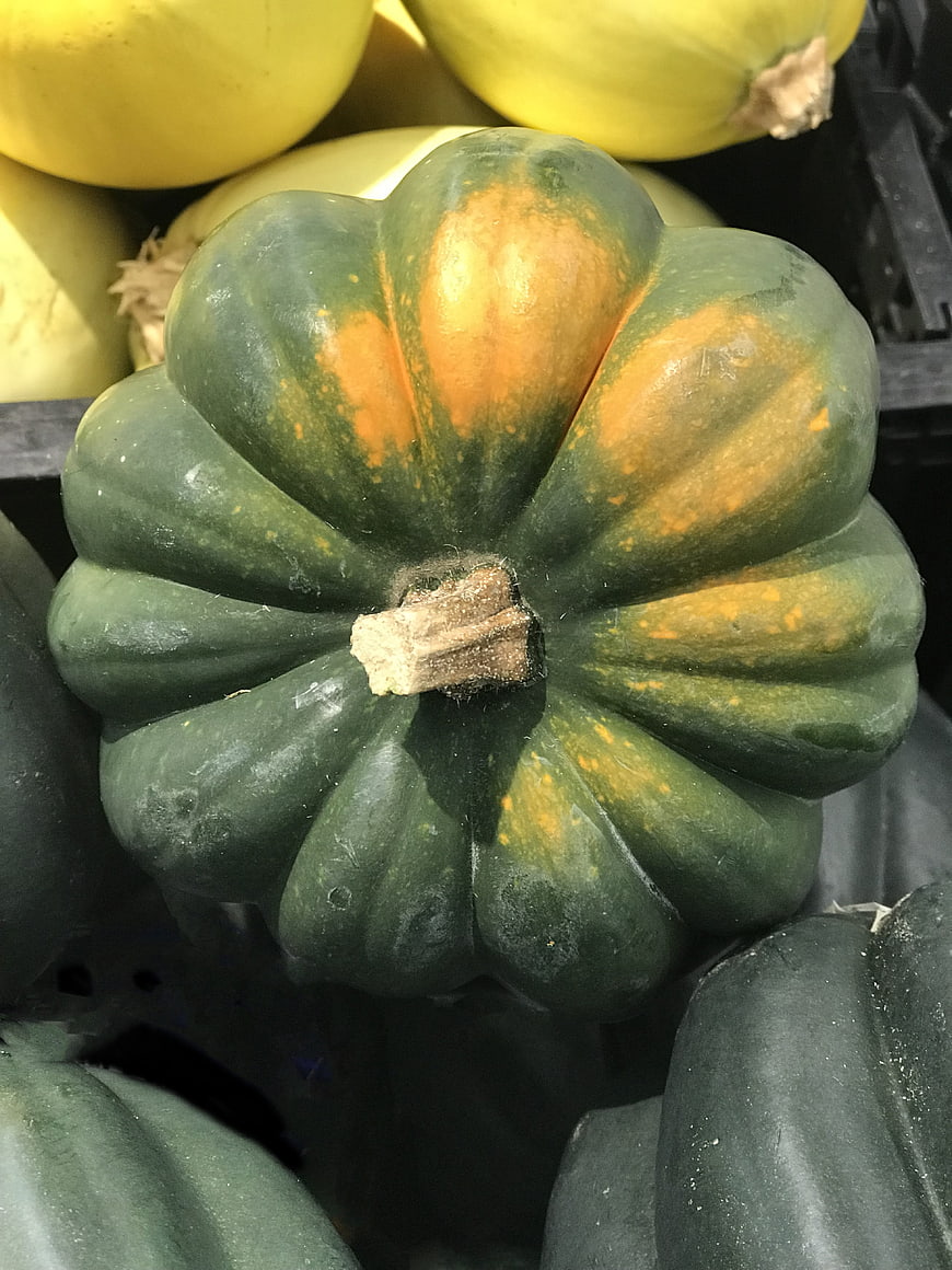 Close-up of Green Acorn Squash with Yellow Patches