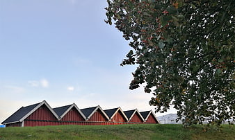 Red Boathouses with Sawtooth Roofs Under Blue Sky
