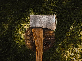 Top view of vintage axe on tree stump in forest