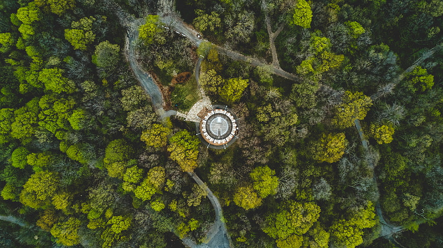 Aerial View of Circular Observation Tower in Forest