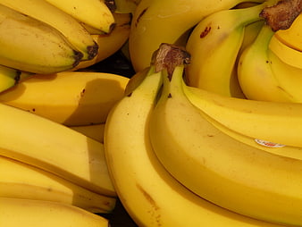 Close-up of fresh yellow bananas in a bunch