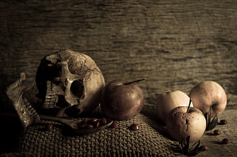 Dark still life with skull, apples, and beans on rustic wood