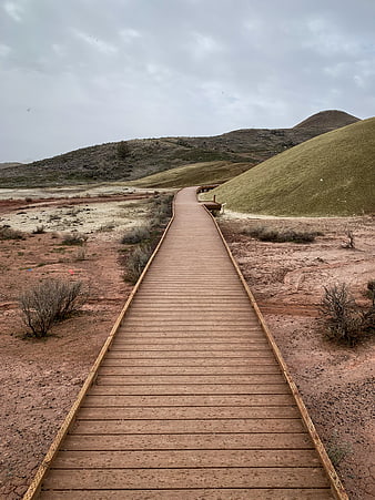 Wooden boardwalk path through desert landscape with green hills