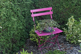 Pink metal garden chair with potted flowers in greenery