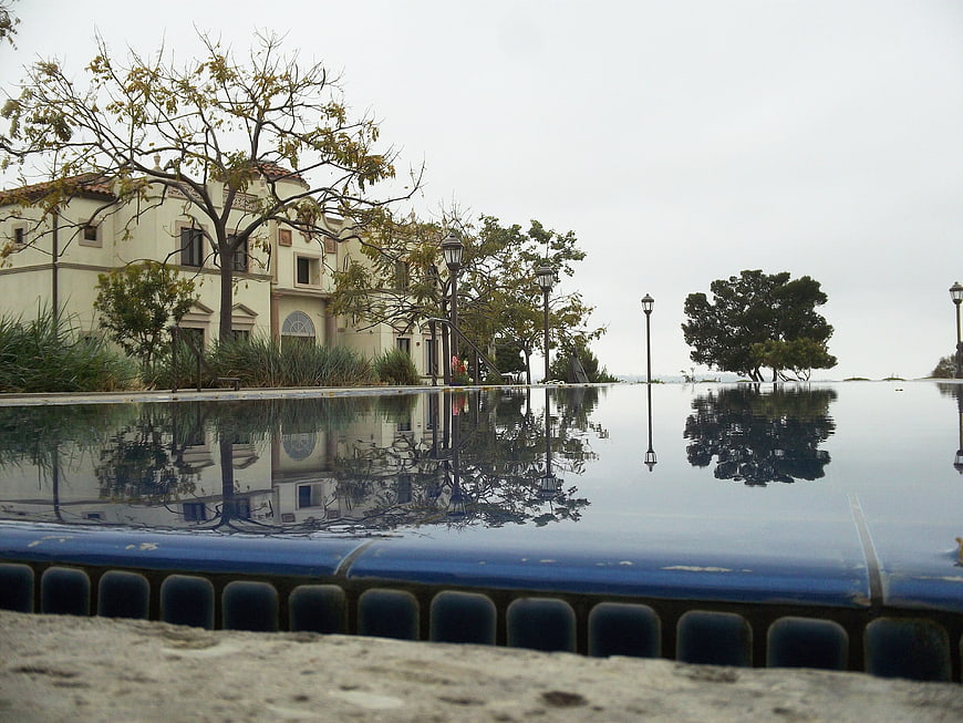 Reflective pool with building and trees on overcast day