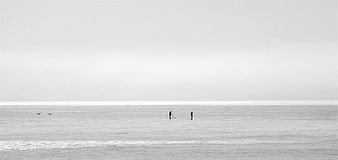 Minimalist Black and White Paddle Boarders on Calm Ocean