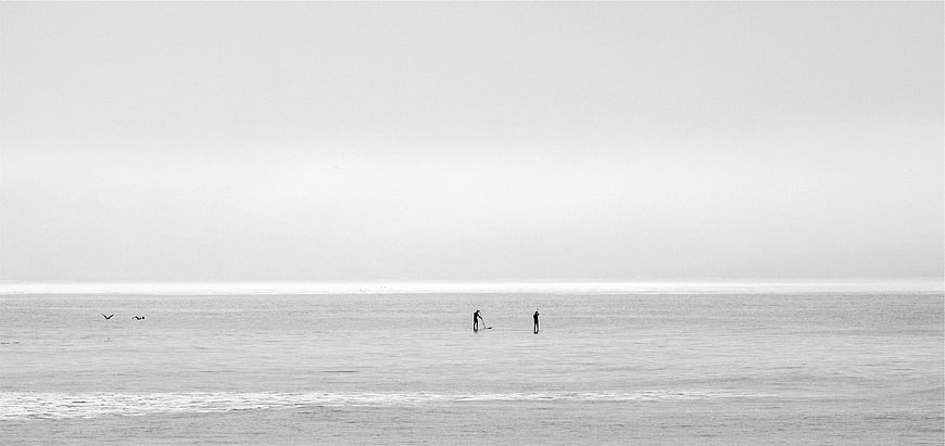 Minimalist Black and White Paddle Boarders on Calm Ocean