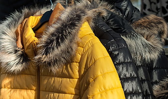 Yellow and black winter down jackets with fur hoods on display