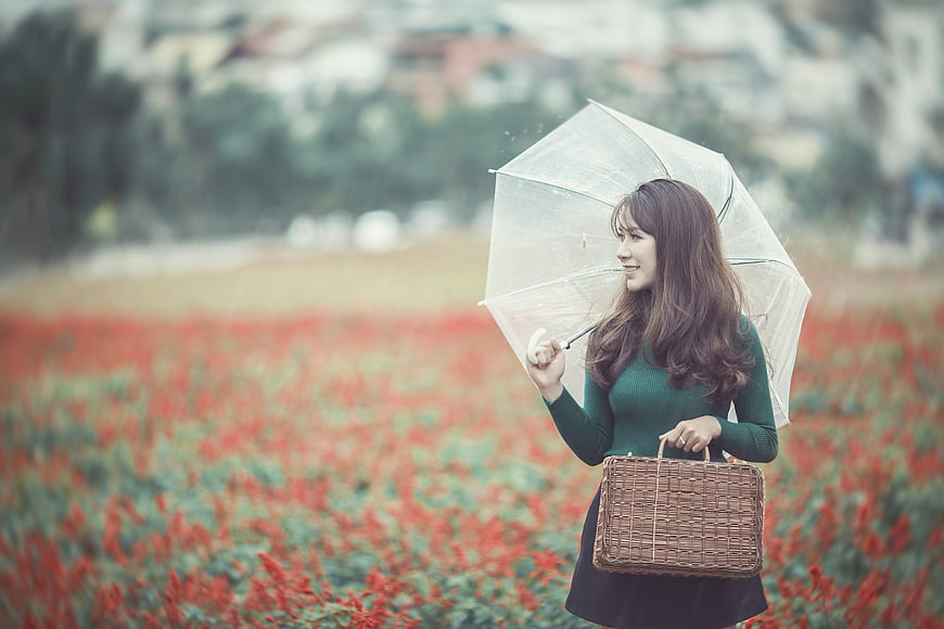 Woman with umbrella and basket in red flower field