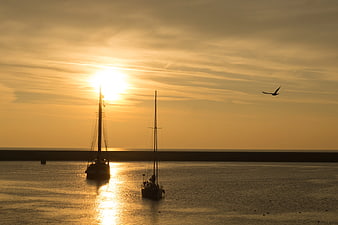 Silhouetted Sailboats at Golden Hour Sunset