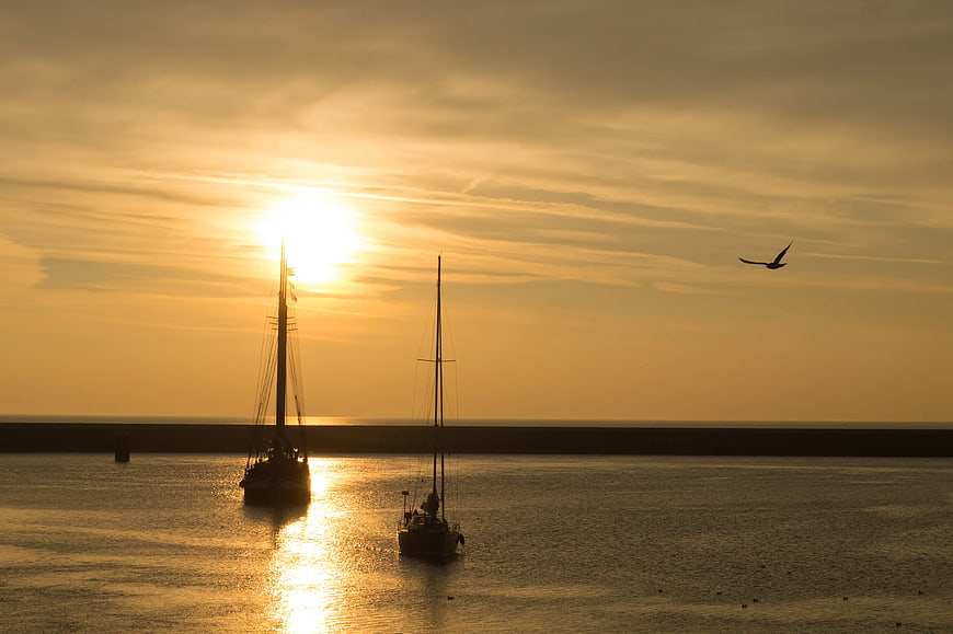 Silhouetted Sailboats at Golden Hour Sunset