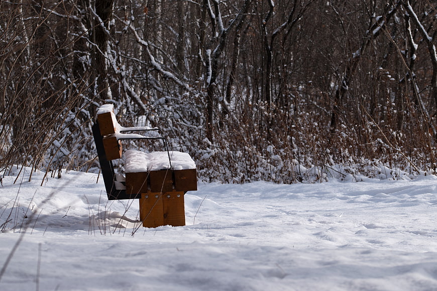 Empty wooden bench covered in snow in winter forest