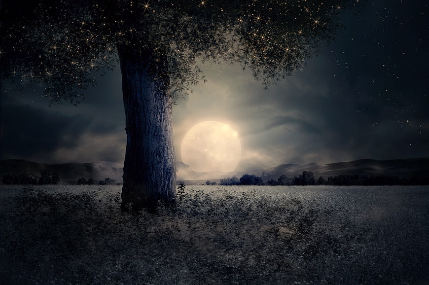 Mystical Night Landscape with Giant Moon and Glowing Tree