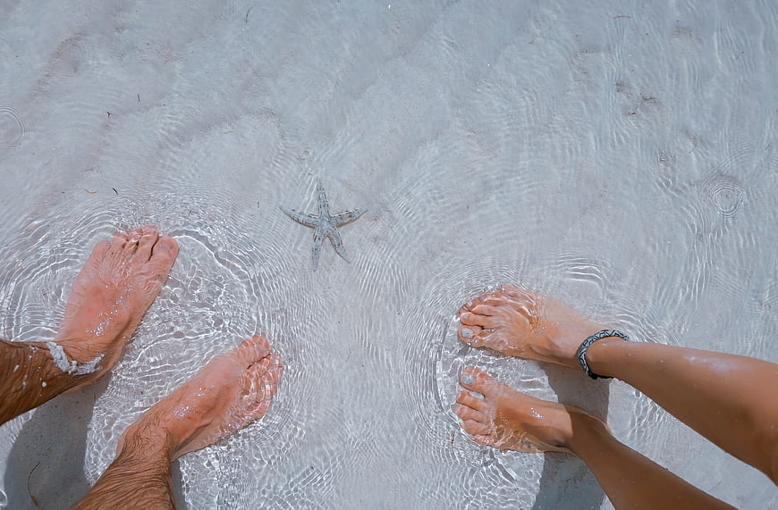 Couple's feet in shallow beach water with starfish